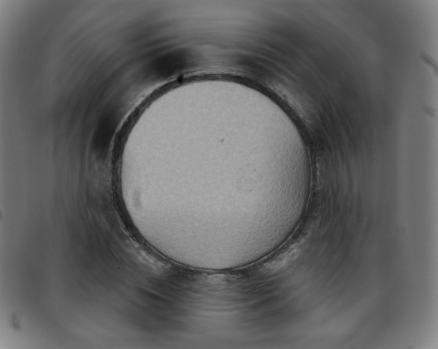 X0000097650828200803071507