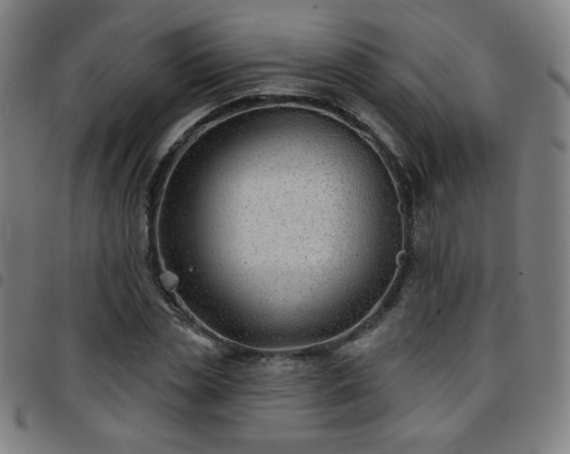 X0000097650829200803071507