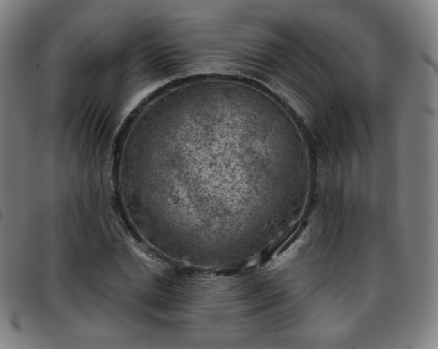 X0000097650830200803071507