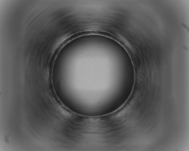 X0000097650831200803071507