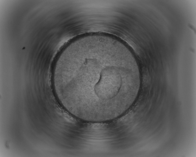 X0000097650832200803071507