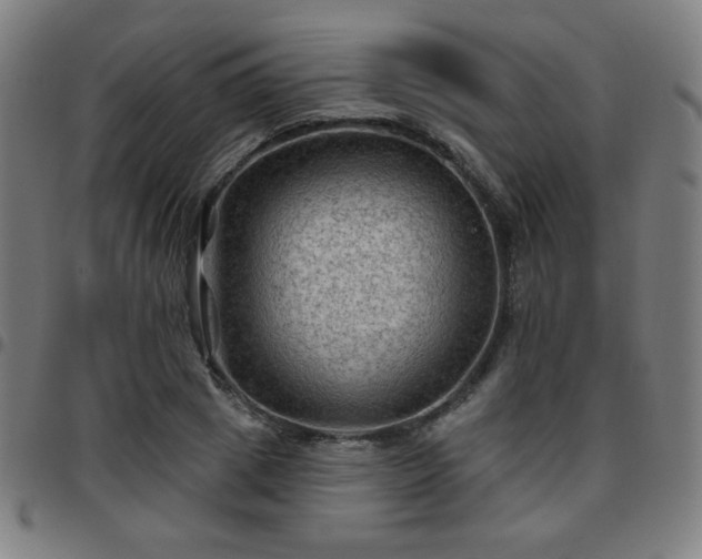 X0000097650833200803071507