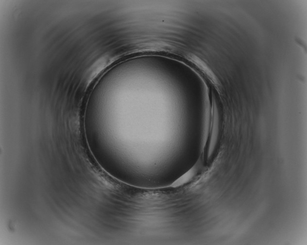 X0000097650834200803071507