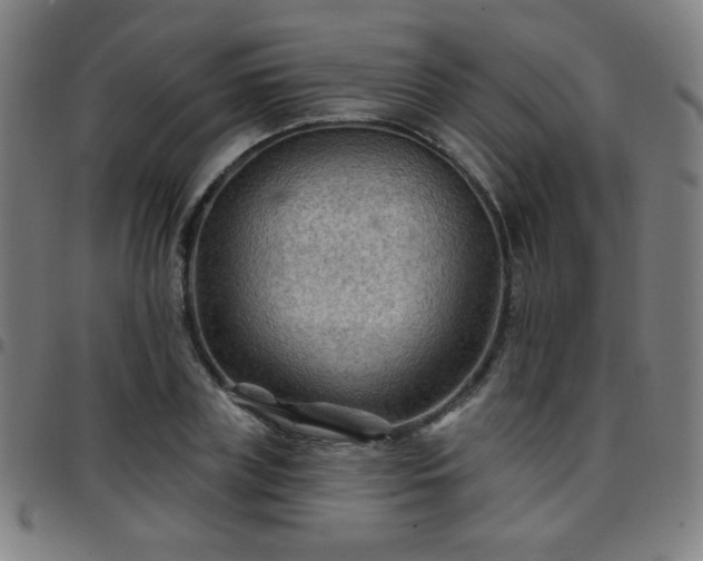 X0000097650835200803071507