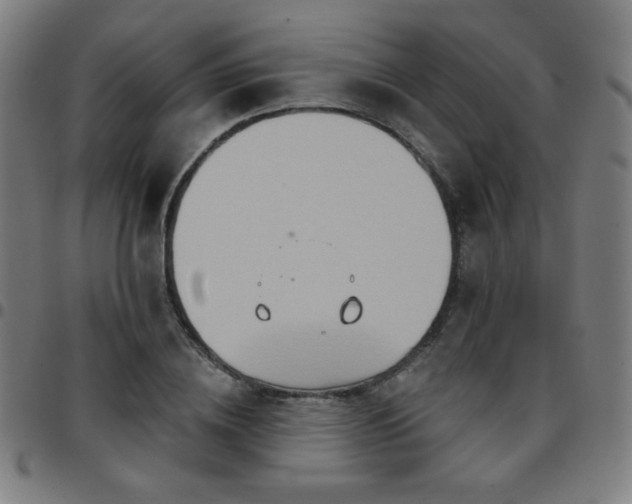 X0000097650836200803071507