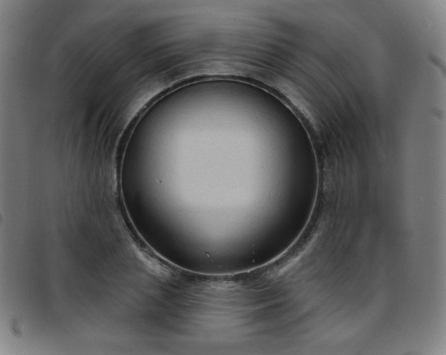 X0000097650837200803071507