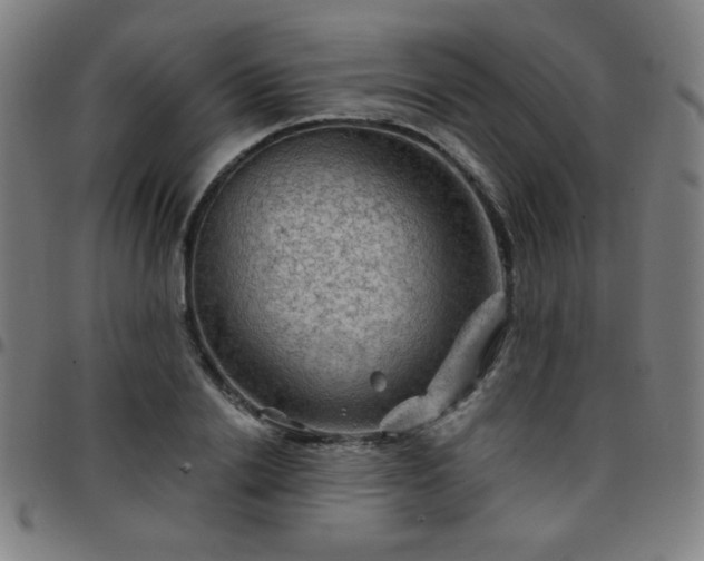 X0000097650838200803071507