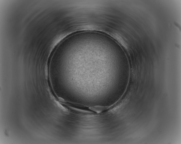 X0000097650839200803071507