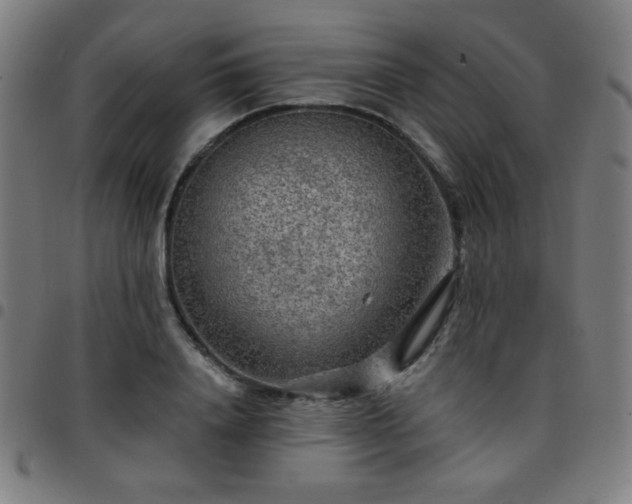 X0000097650840200803071507