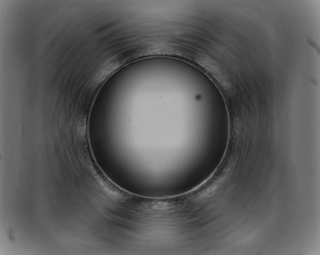 X0000097650841200803071507