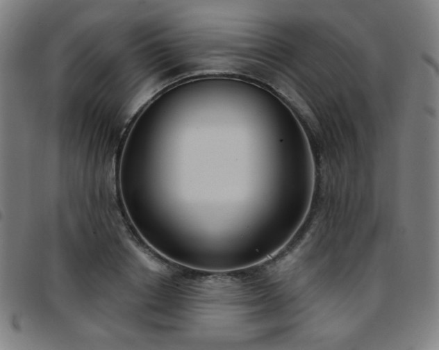 X0000097650842200803071507