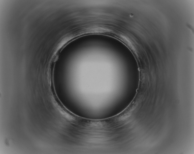 X0000097650843200803071507