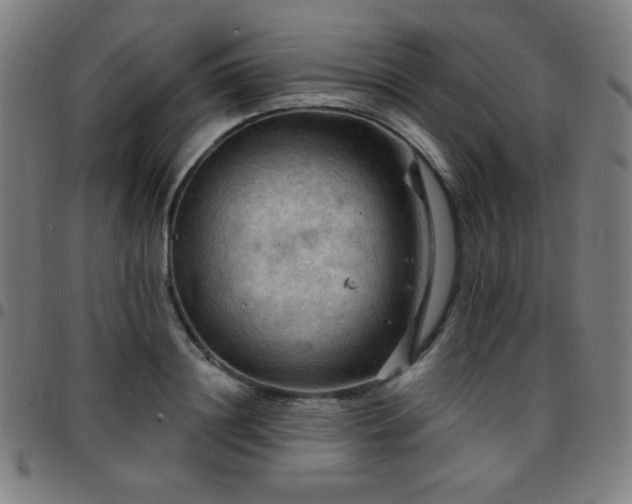 X0000097650844200803071507