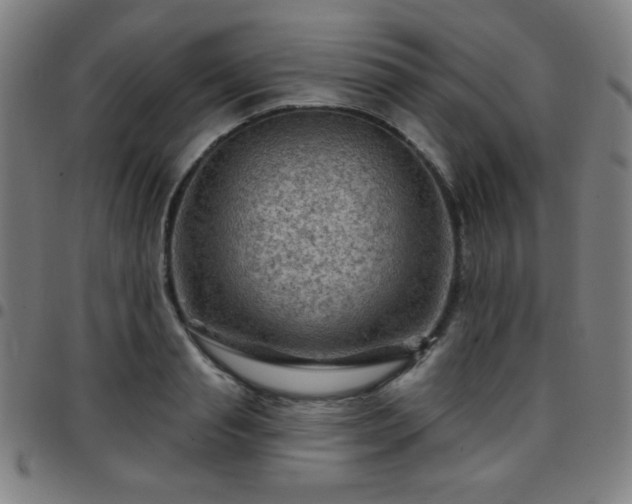 X0000097650845200803071507