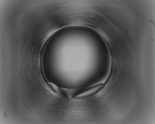 X0000097650846200803071507