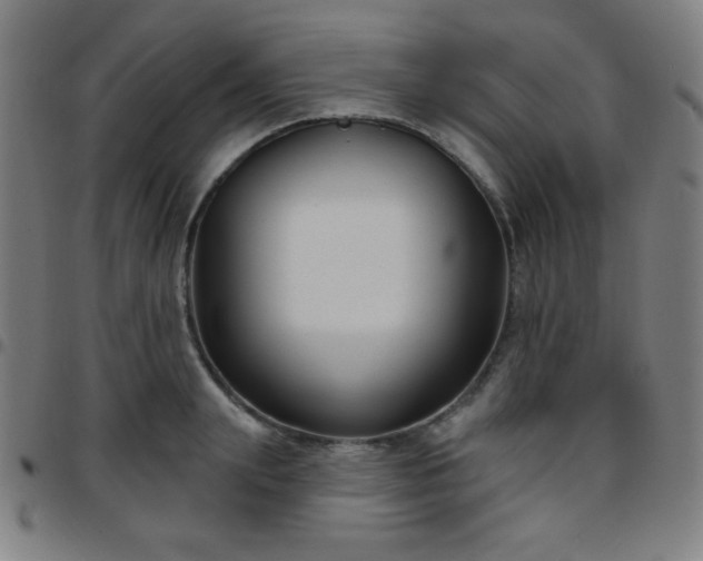 X0000097650847200803071507