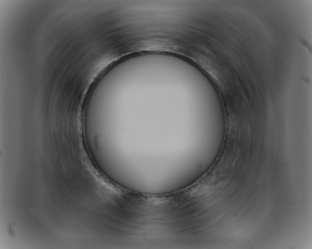 X0000097650848200803071507