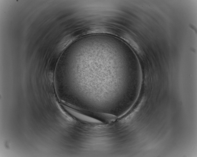 X0000097650849200803071507