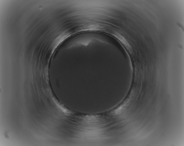 X0000097650850200803071507