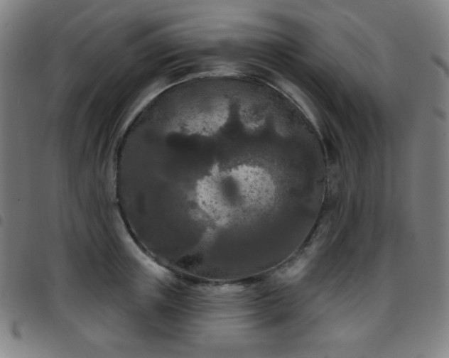 X0000097650851200803071507