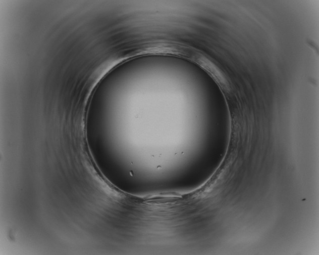 X0000097650852200803071507