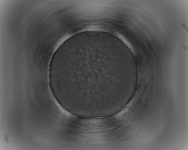 X0000097650853200803071507