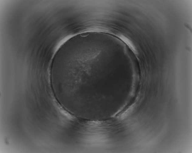 X0000097650854200803071507