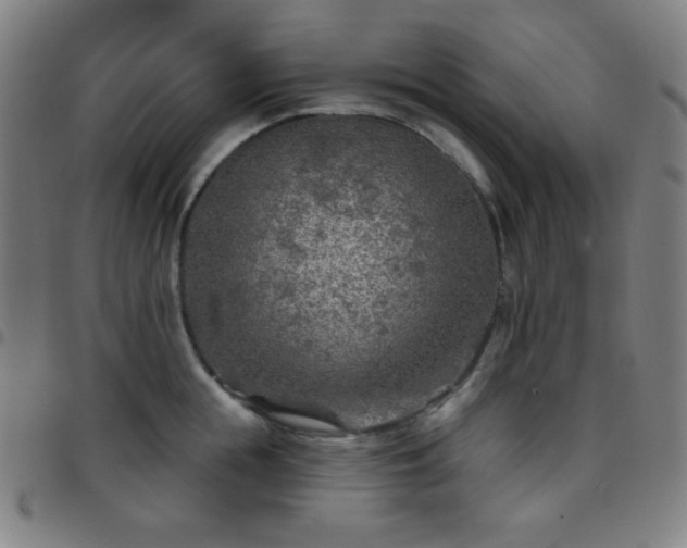 X0000097650855200803071507