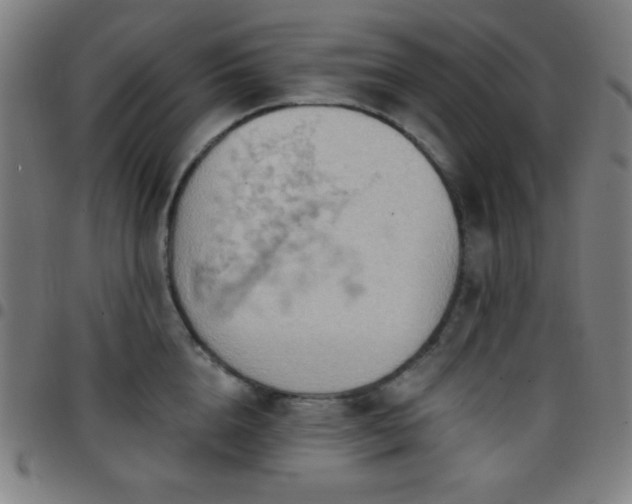 X0000097650856200803071507