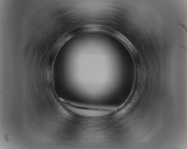 X0000097650857200803071507