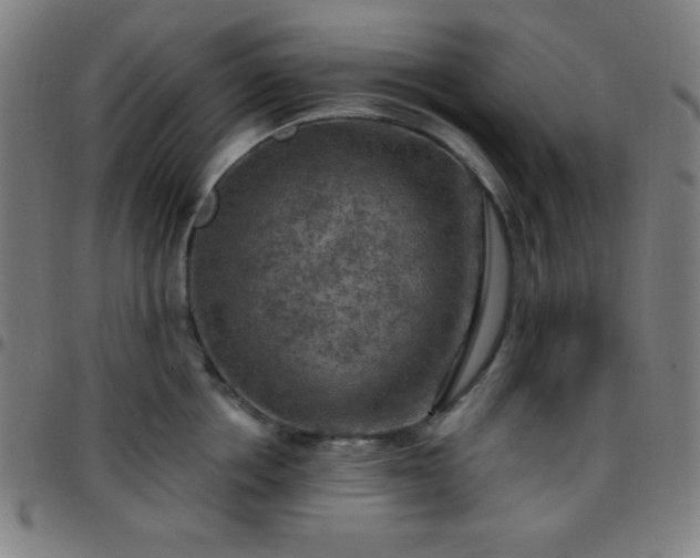 X0000097650858200803071507