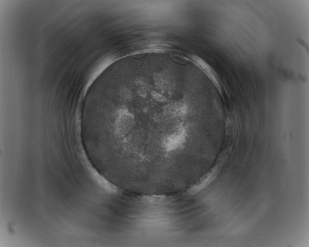 X0000097650859200803071507