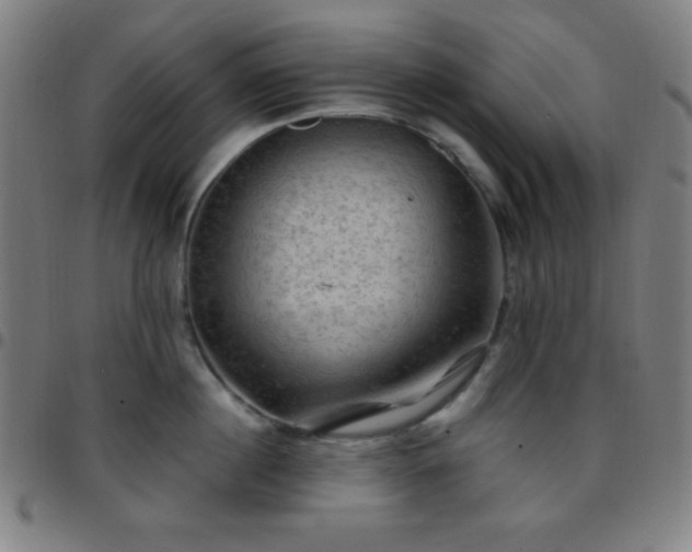 X0000097650860200803071507