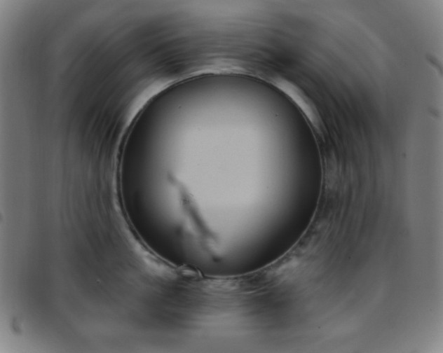 X0000097650861200803071507