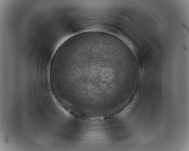 X0000097650862200803071507