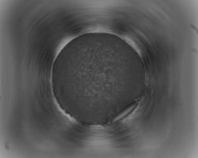 X0000097650863200803071507