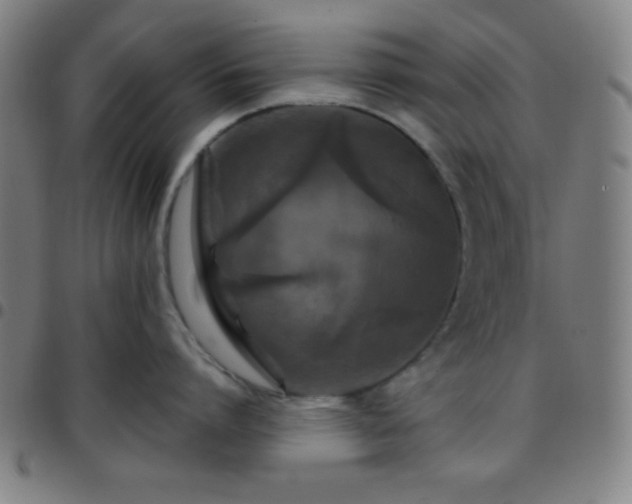 X0000097650864200803071507