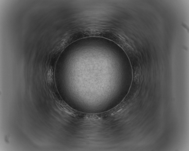 X0000097650866200803071507