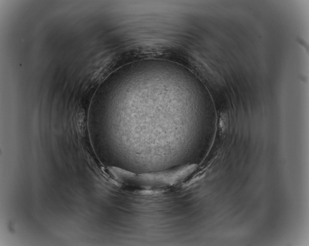 X0000097650867200803071507