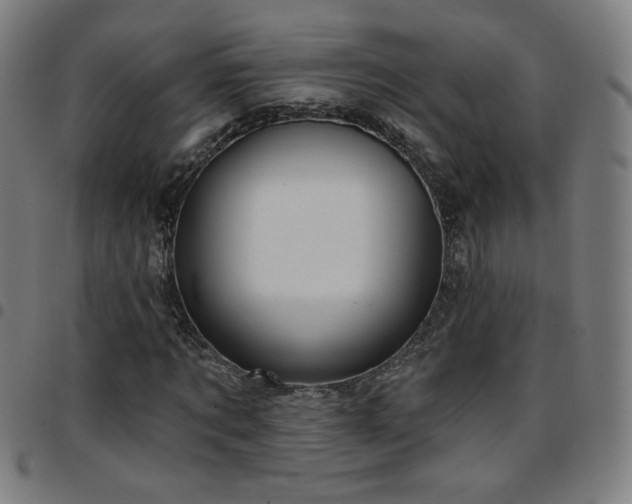 X0000097650869200803071507