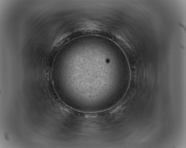 X0000097650870200803071507