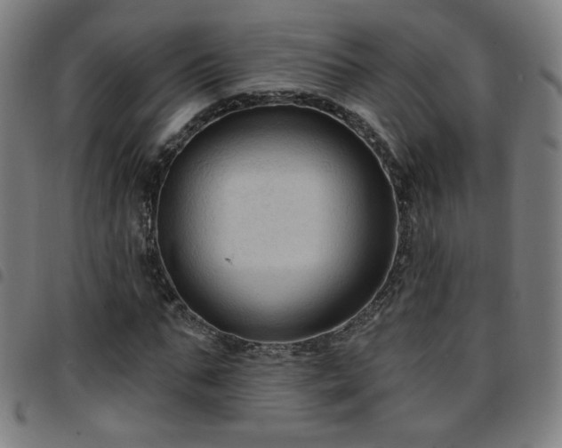 X0000097650871200803071507