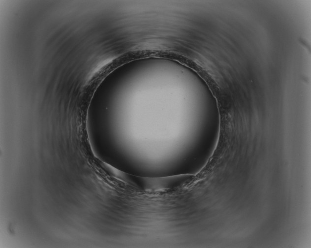 X0000097650872200803071507