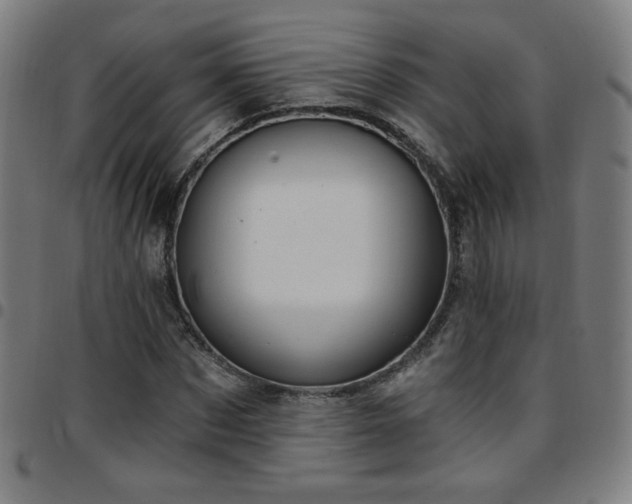 X0000097650873200803071507