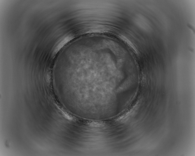 X0000097650874200803071507