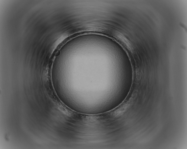 X0000097650875200803071507