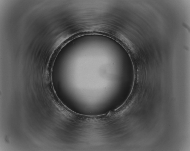 X0000097650876200803071507