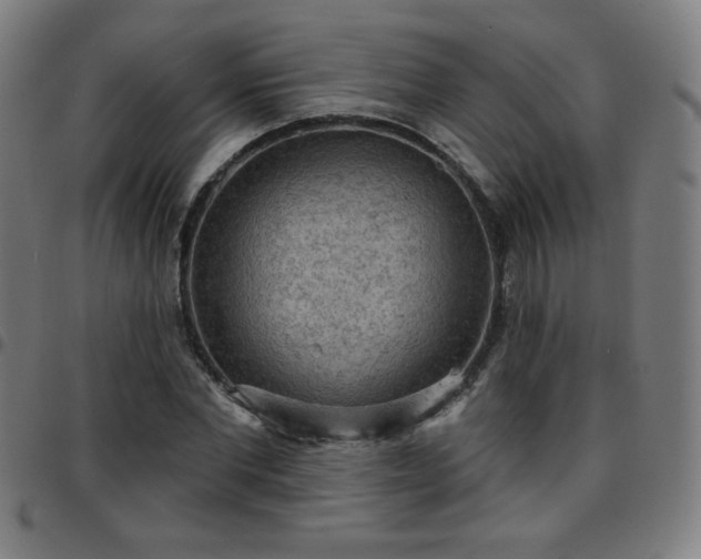 X0000097650877200803071507