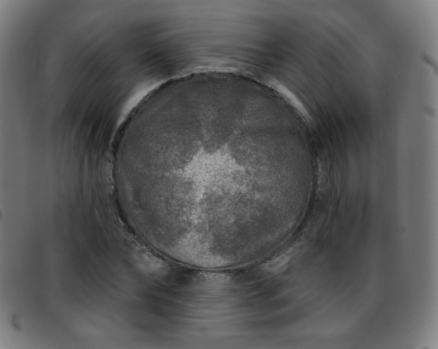 X0000097650878200803071507