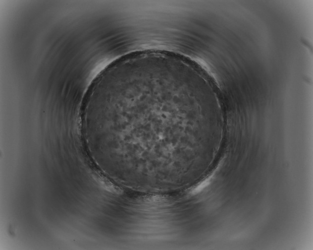 X0000097650879200803071507